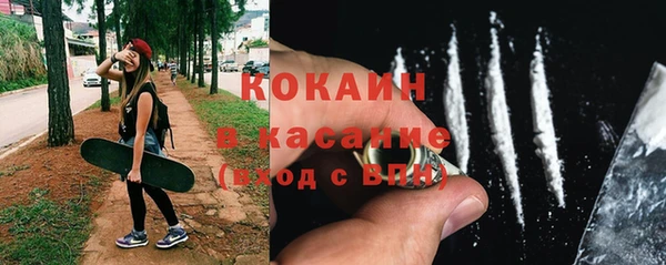 крисы Краснослободск